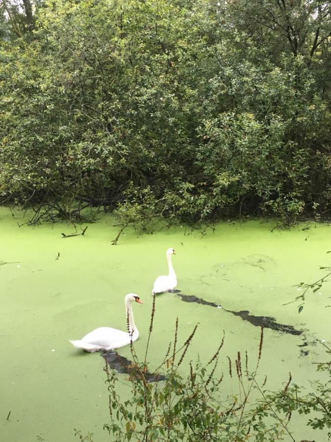 Voel Je Thuis Zwolle  Luaran gambar